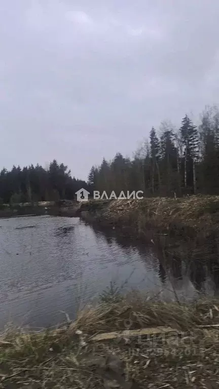 Участок в Ленинградская область, Шлиссельбург Кировский район, ул. ... - Фото 1