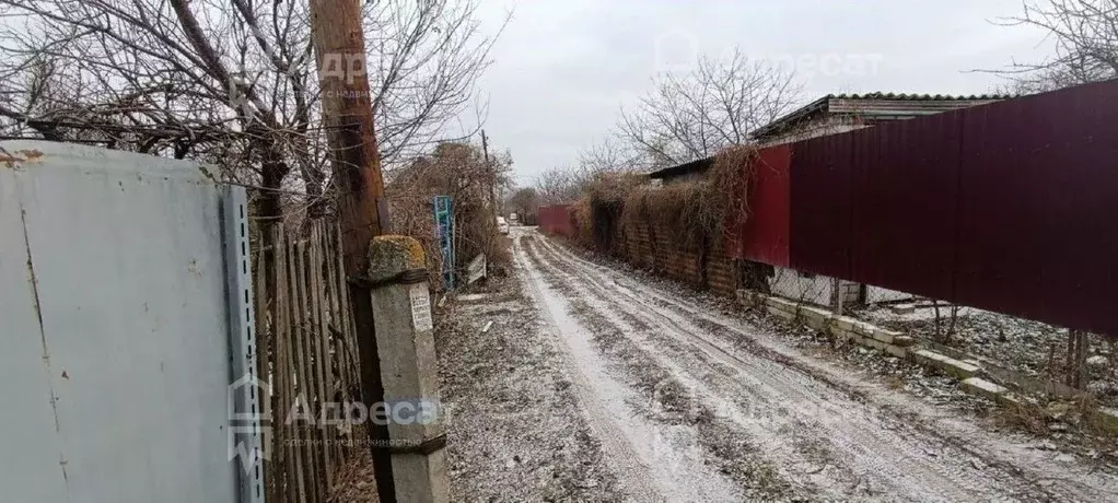 Участок в Волгоградская область, Волгоград 40 лет Октября СНТ, 1-й ... - Фото 2