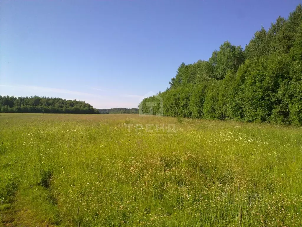 Участок в Ленинградская область, Тосненский район, Любанское городское ... - Фото 0