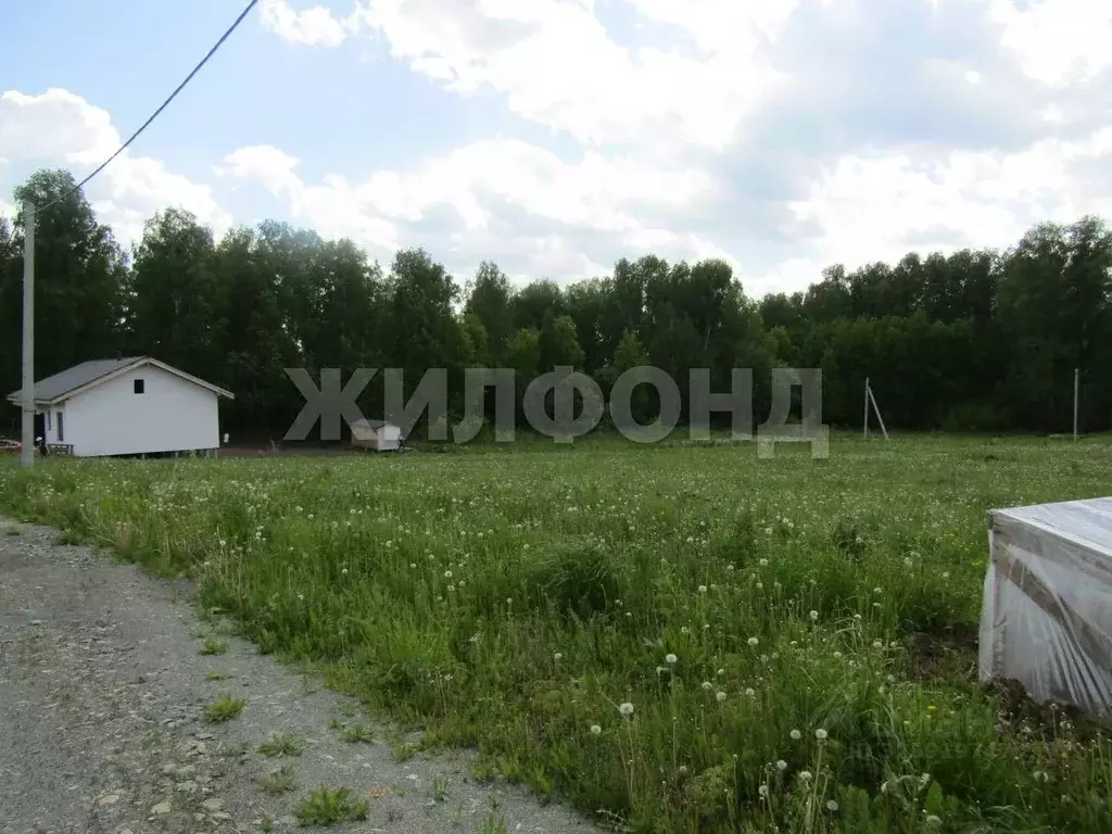 Участок в Новосибирская область, Новосибирский район, Раздольненский ... - Фото 1