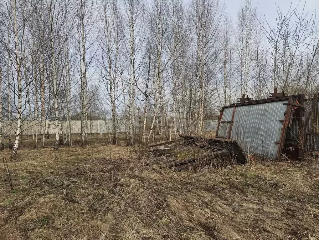 Участок в Московская область, Чехов городской округ, д. Чепелево ... - Фото 0