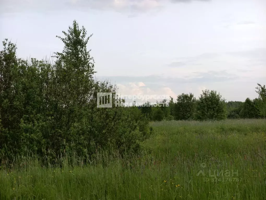 Участок в Ленинградская область, Кировский район, Мгинское городское ... - Фото 1