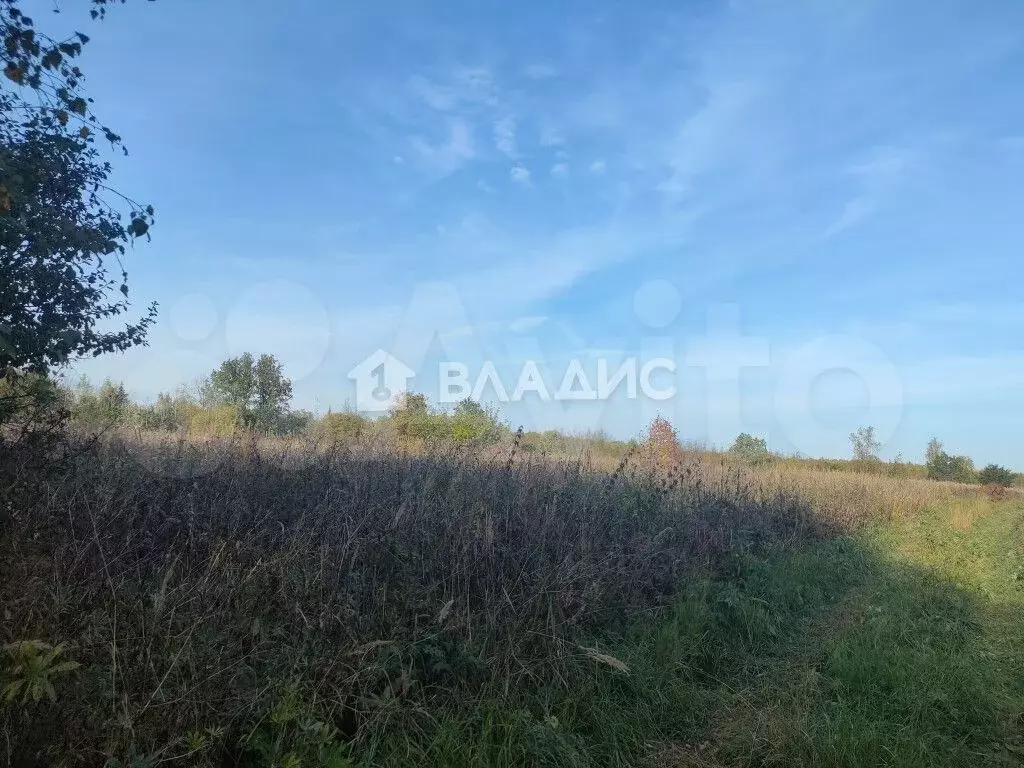 Участок 15 га (СНТ, ДНП) - Фото 1