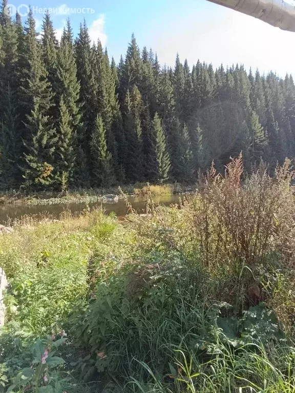 Участок в Нижние Серги, улица Розы Люксембург, 3 (9 м) - Фото 1