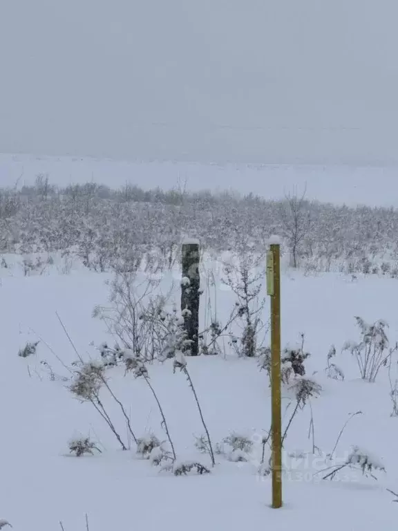 Участок в Алтайский край, Белокуриха ул. Норильская (11.3 сот.) - Фото 0