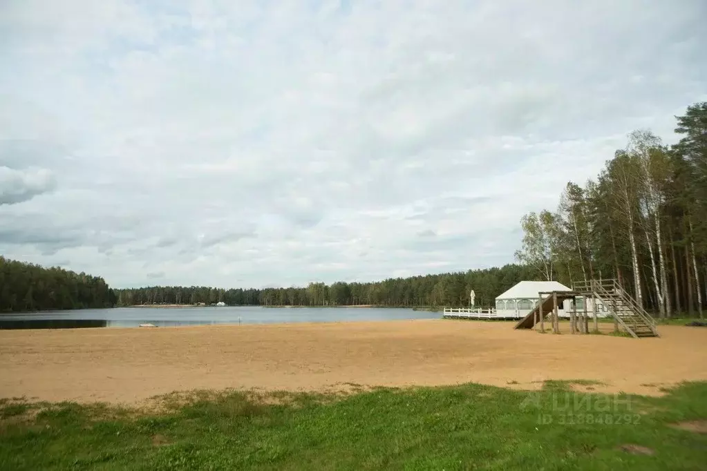 Участок в Ленинградская область, Всеволожский район, Колтушское ... - Фото 2