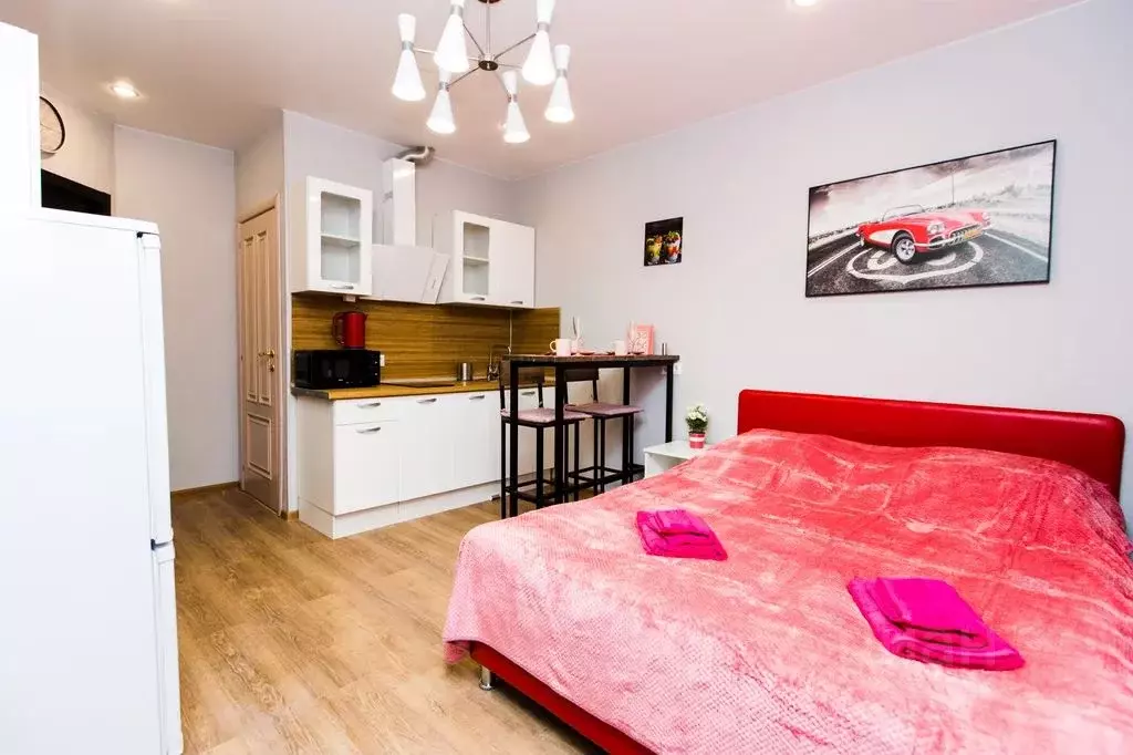 Студия Москва ул. Татьянин Парк, 16к1 (25.0 м) - Фото 1