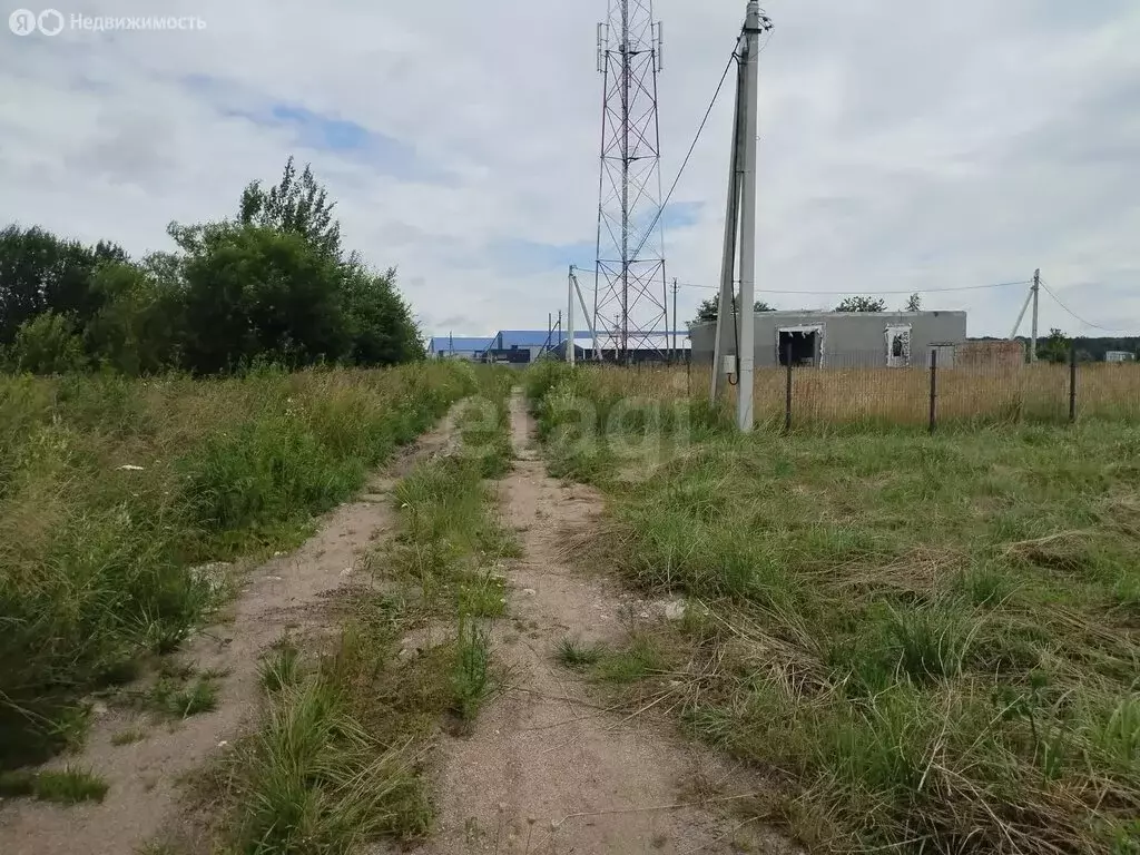 Участок в посёлок Нивенское, Советская улица (12 м) - Фото 2
