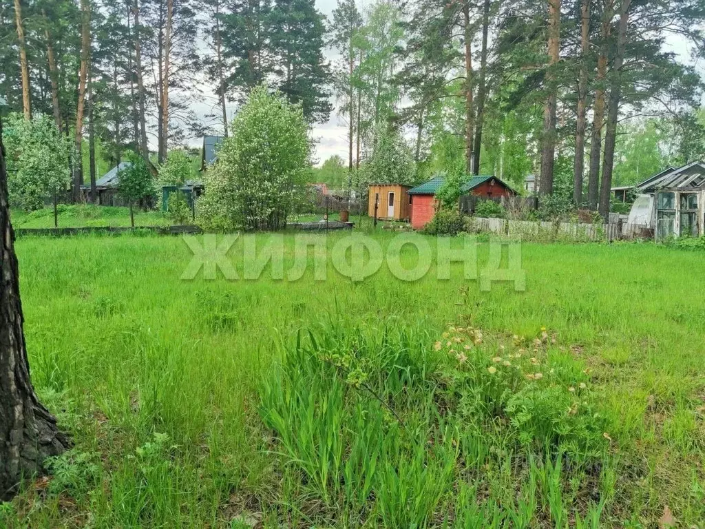Участок в Новосибирская область, Новосибирск Поляна СНТ,  (4.93 сот.) - Фото 1