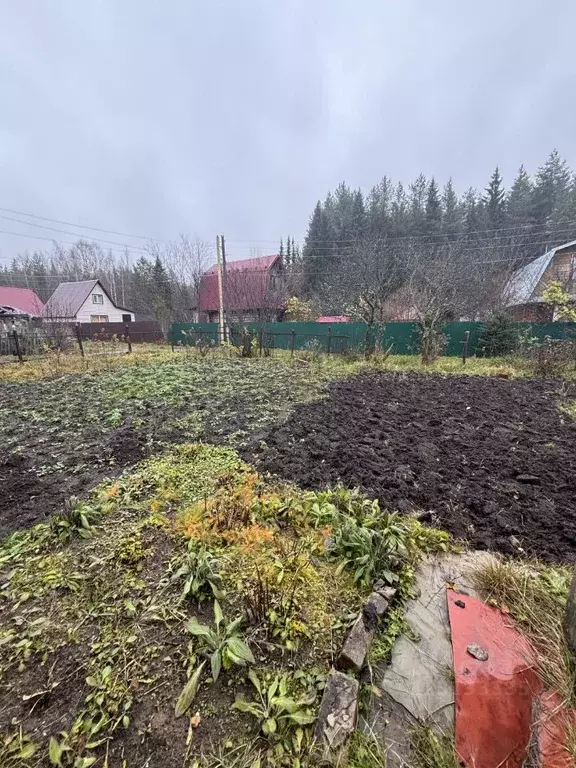 Участок в Кировская область, Кирово-Чепецкий район, Пасеговское с/пос, ... - Фото 2