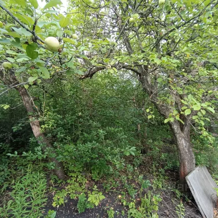 Дом в Пензенская область, Пенза Жилстроевец садовое дачное ... - Фото 2