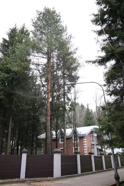 Дом в деревня Тарасково, Рассветная улица, 1 (377 м) - Фото 2
