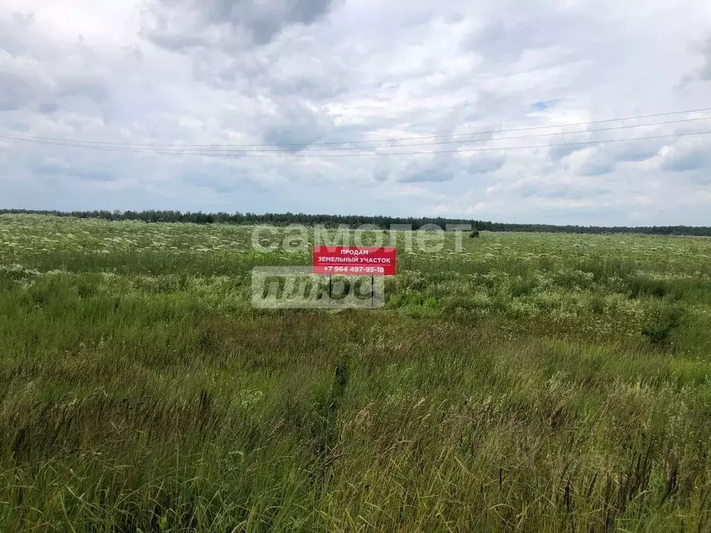 Участок в Ивановская область, Ивановский район, Куликовское с/пос, д. ... - Фото 1