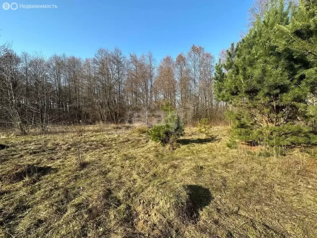 Участок в Калининградская область, Гвардейский муниципальный округ, ... - Фото 1