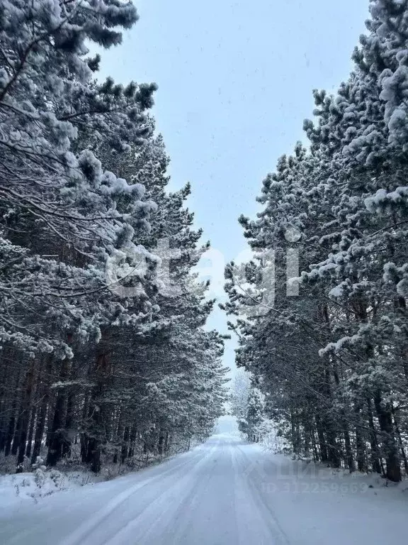 Участок в Красноярский край, Емельяново городское поселение, Гринбург ... - Фото 0