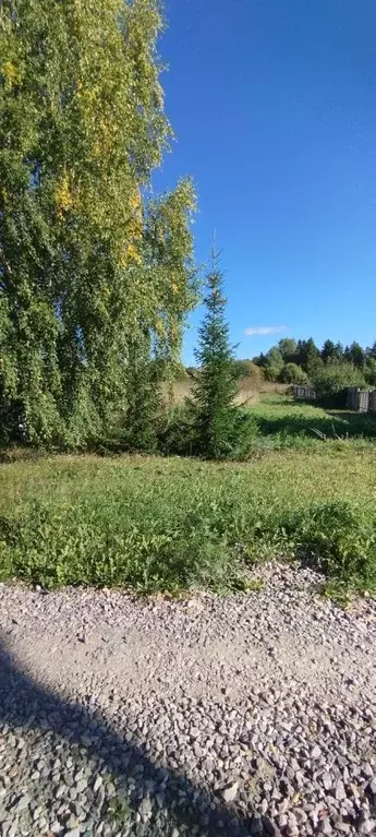 Участок в Пермский край, Пермь пос. Голованово, пер. Клубный (6.0 ... - Фото 0