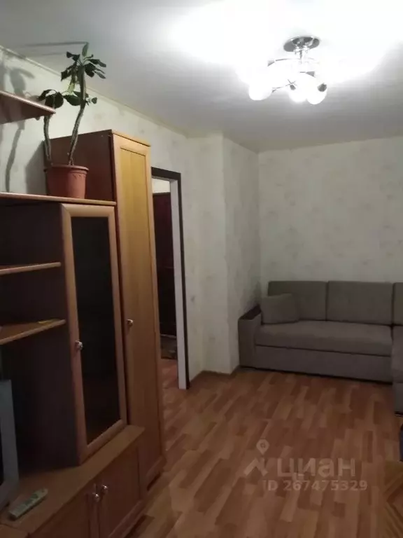 1-к кв. Смоленская область, Сафоново Шахтерская ул., 3 (32.0 м) - Фото 2