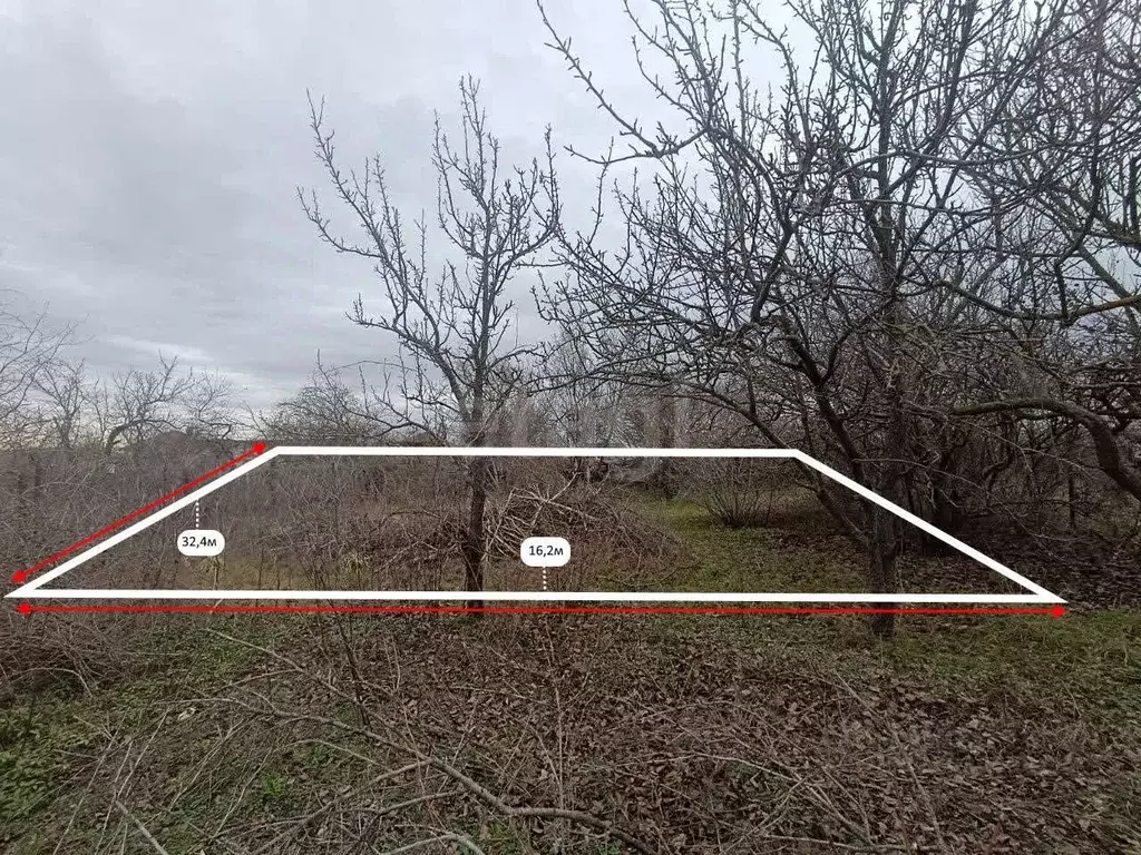 Участок в Крым, Симферопольский район, Перовское с/пос, Новозбурьевка ... - Фото 2