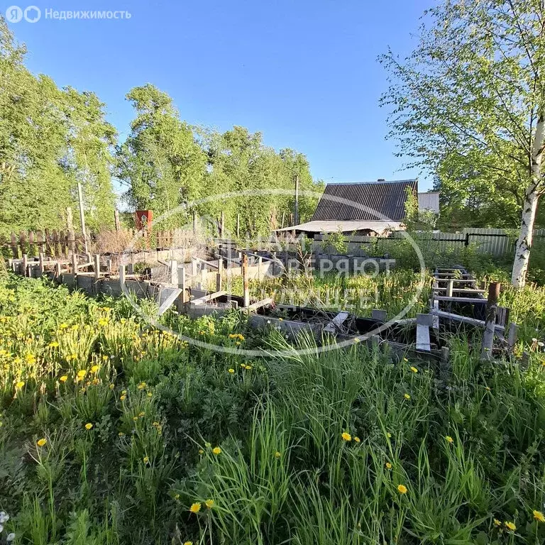 Дом в Добрянка, улица Шевченко, 1 (60 м) - Фото 1