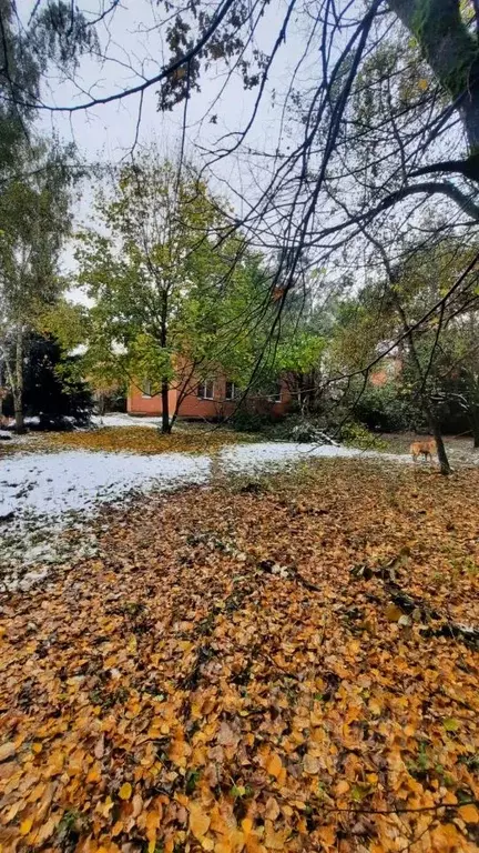 Дом в Московская область, Ленинский городской округ, д. Жабкино, ... - Фото 1