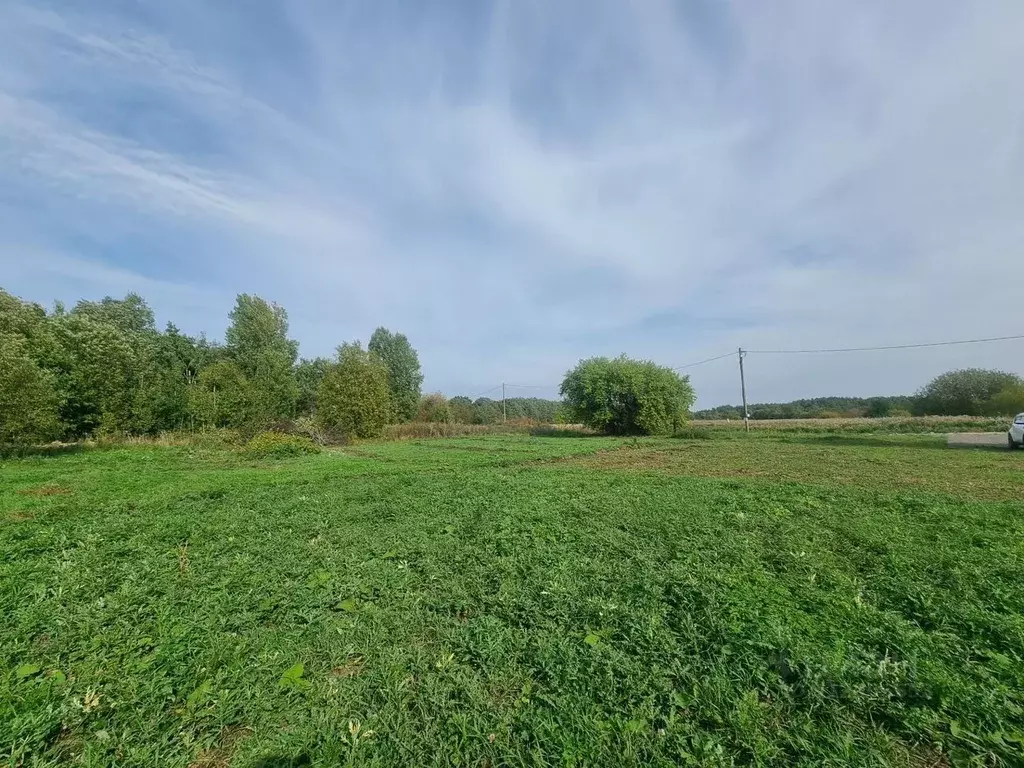 Участок в Ленинградская область, Кировский район, Назиевское городское ... - Фото 1