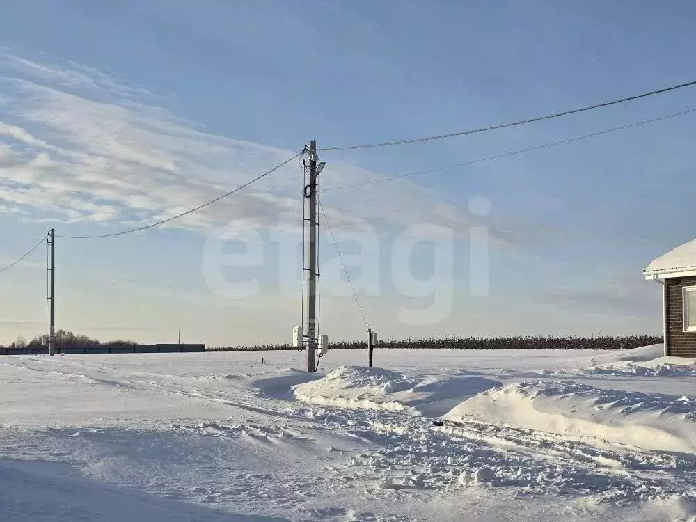 Участок в Московская область, Коломна городской округ, д. Щепотьево  ... - Фото 2