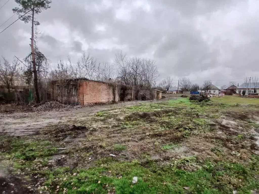 Дом в Белгородская область, Валуйский муниципальный округ, с. Новая ... - Фото 1