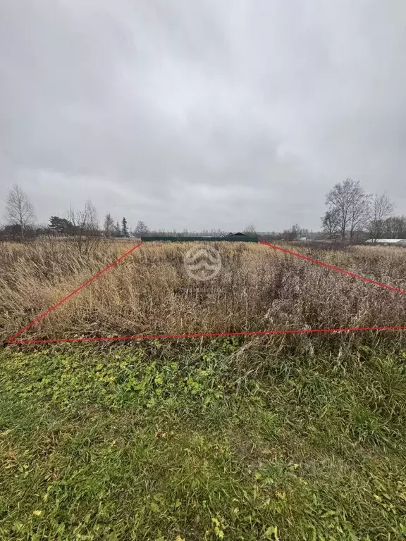 Участок в Московская область, Клин городской округ, д. Бортницы  (20.0 ... - Фото 1