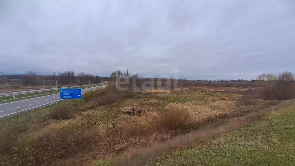 Участок в Калининградская область, Гвардейский муниципальный округ, ... - Фото 2
