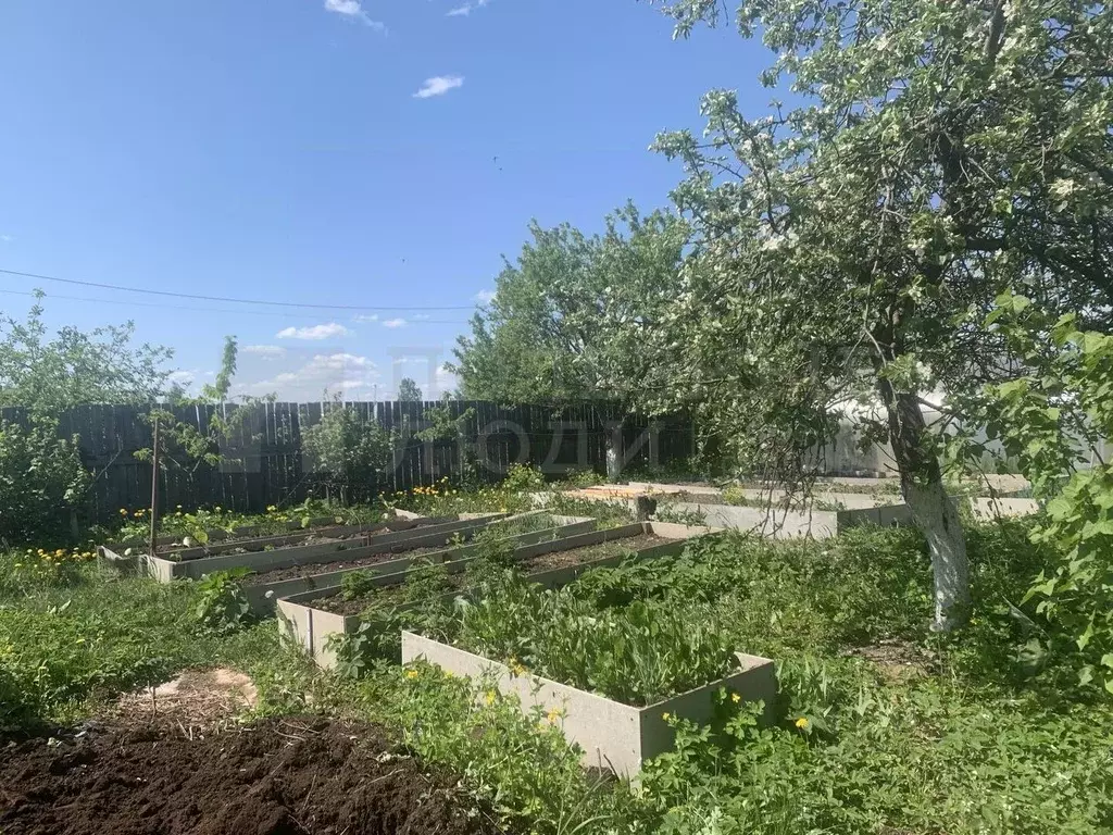 Дом в Новгородская область, Новгородский район, Ракомское с/пос, д. ... - Фото 1