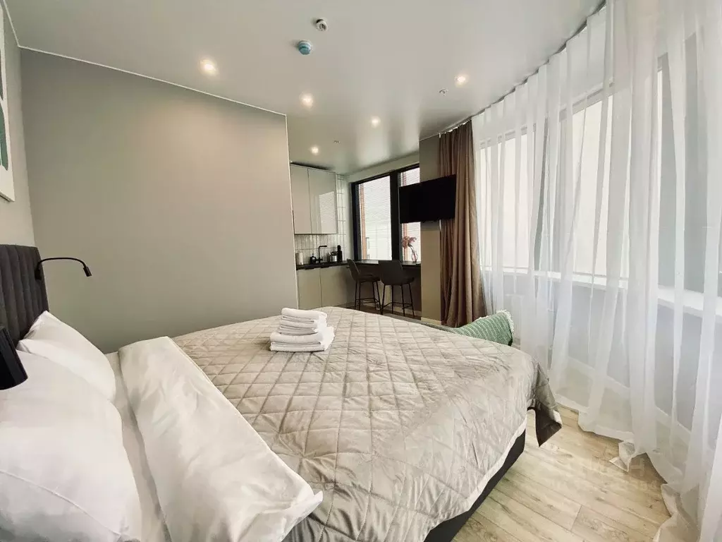 Студия Санкт-Петербург просп. Энергетиков, 2к2 (30.0 м) - Фото 2