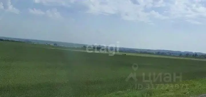 Участок в Курганская область, Далматово  (40000.0 сот.) - Фото 1