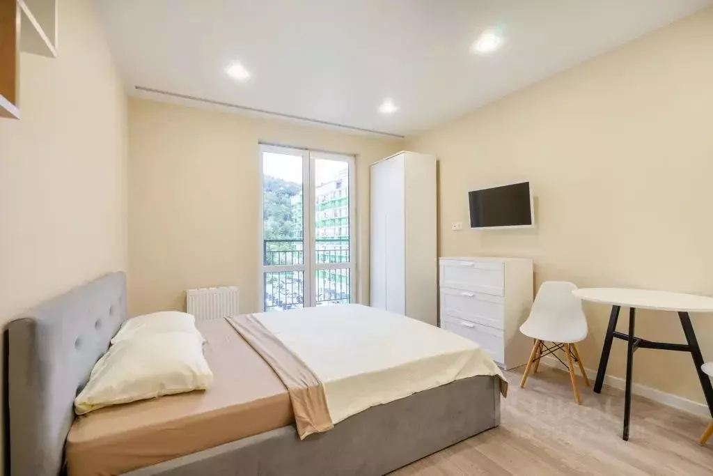 Студия Краснодарский край, Сочи ул. Искры, 88к3 (28.0 м) - Фото 1