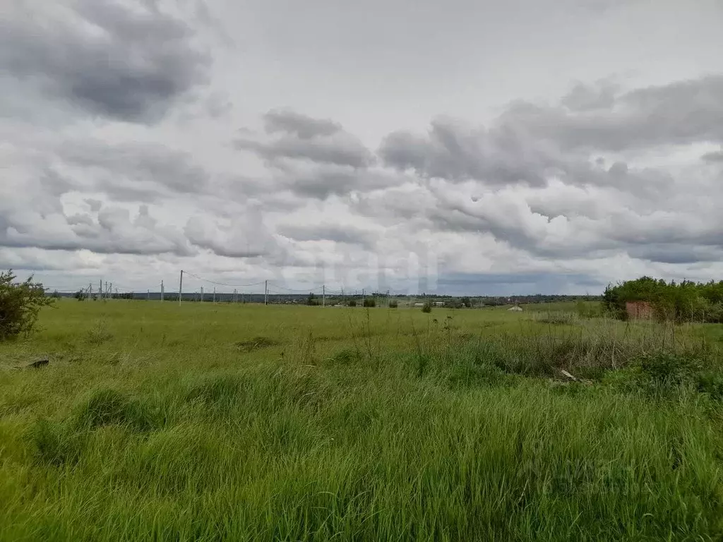 Участок в Саратовская область, Балашовский район, Хоперское ... - Фото 1