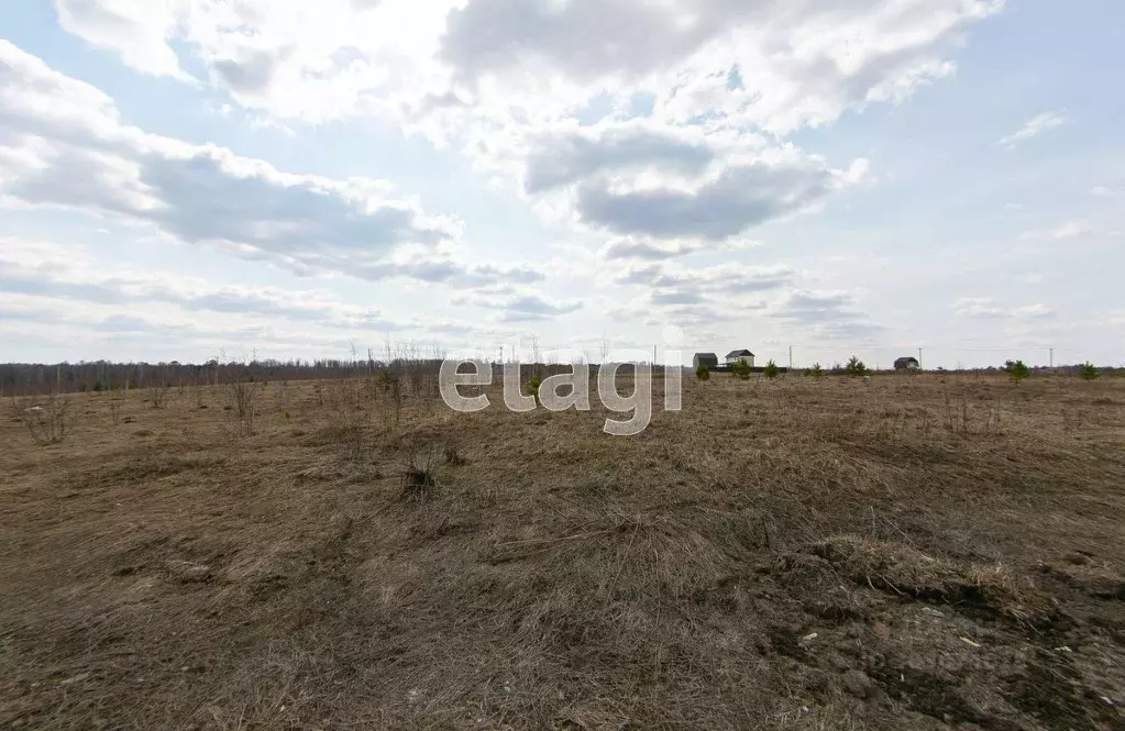 Участок в Томская область, Томский район, д. Лязгино ул. Новая (215.0 ... - Фото 0