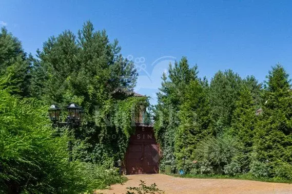 Участок в Московская область, Одинцовский городской округ, пос. ... - Фото 1