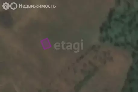 Участок в Каменский сельсовет, ДНТ Каменский Оазис (8 м) - Фото 2