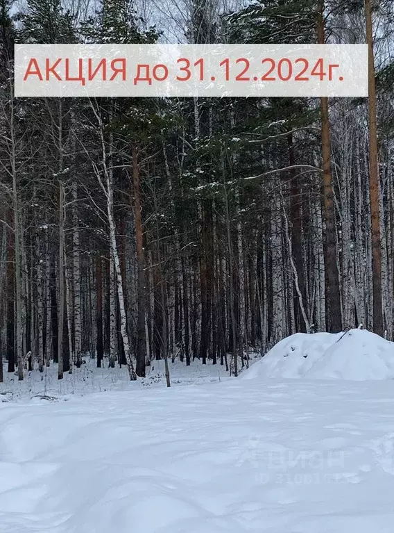 Участок в Свердловская область, Полевской городской округ, с. ... - Фото 0