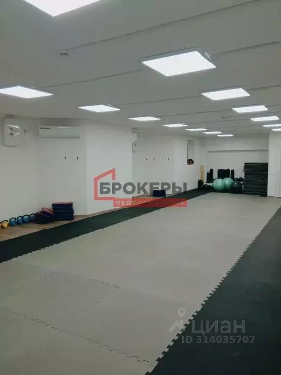 Помещение свободного назначения в Севастополь ул. Тараса Шевченко, 14 ... - Фото 0
