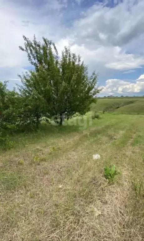 Участок в Белгородская область, Белгородский район, Поселок Разумное ... - Фото 0