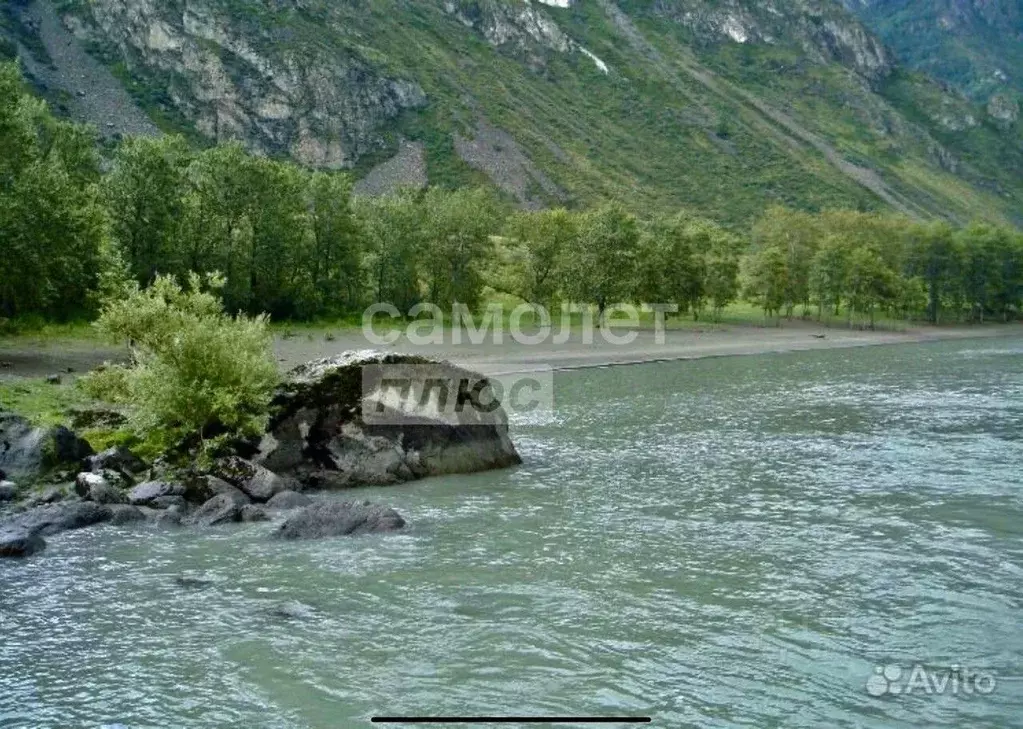 Участок в Алтай, Чемальский район, с. Куюс  (730.0 сот.) - Фото 1