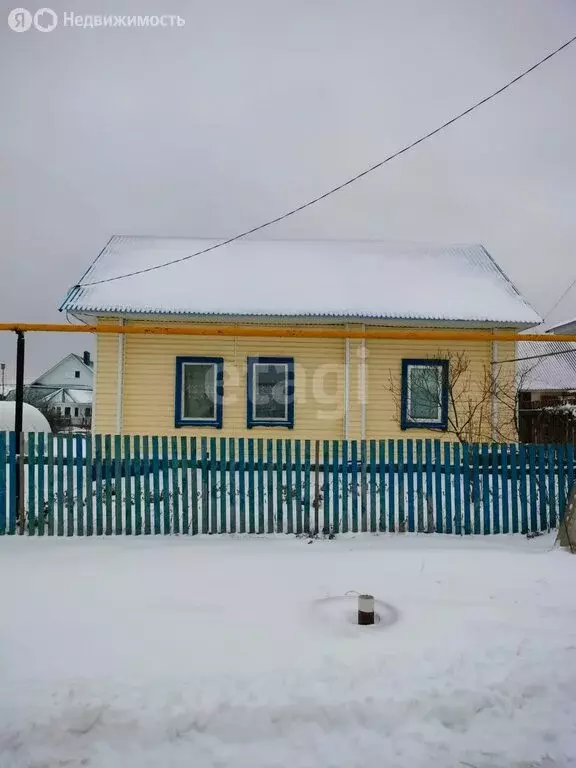 Дом в село Николо-Берёзовка, улица Чкалова (39.9 м) - Фото 0