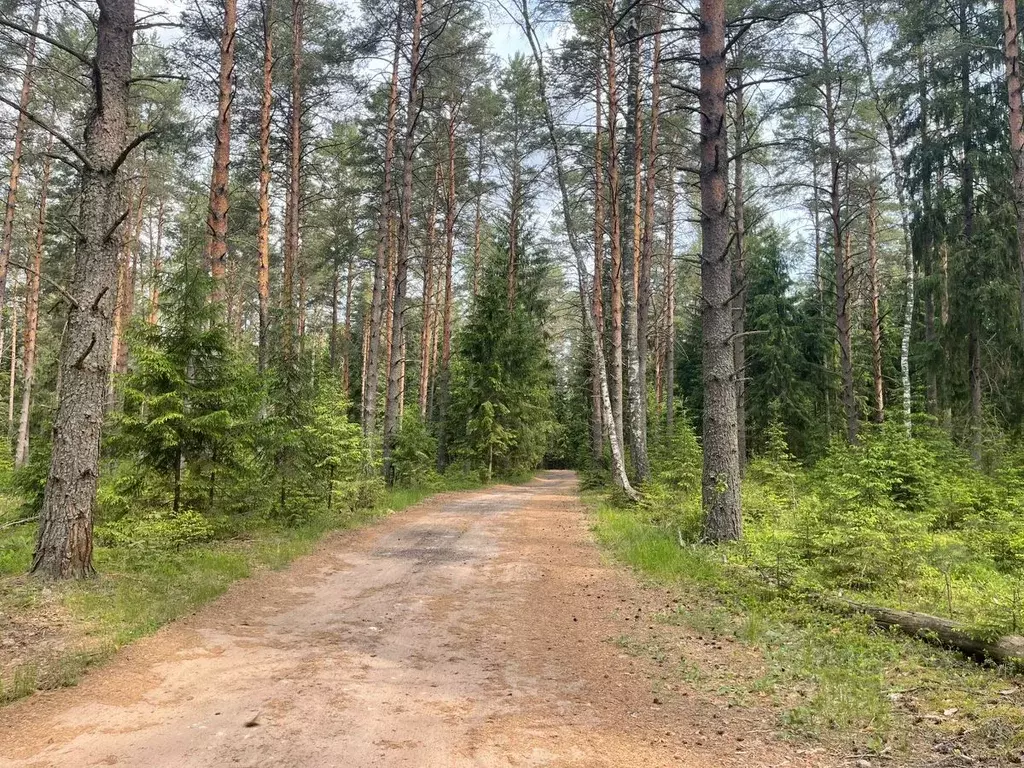 Участок в Тверская область, Конаковский муниципальный округ, д. ... - Фото 0