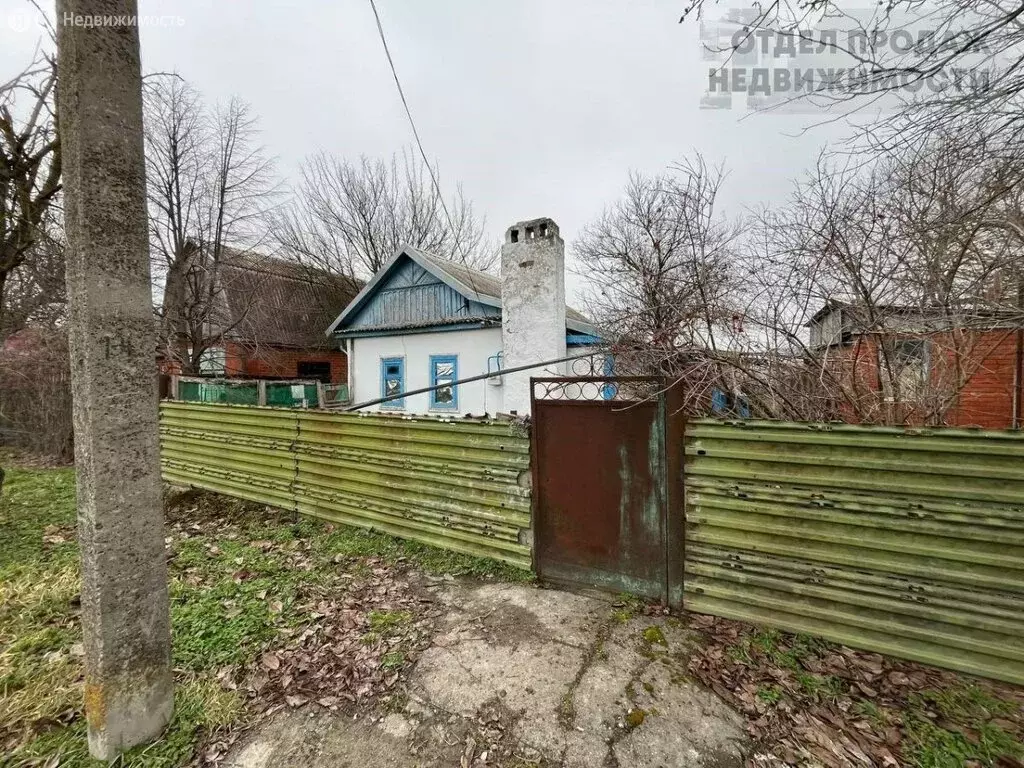 Дом в село Киевское, Советская улица, 236 (42 м) - Фото 2