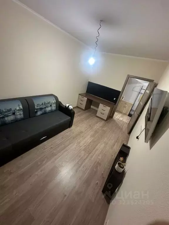 1-к кв. Московская область, Солнечногорск городской округ, Голубое пгт ... - Фото 2