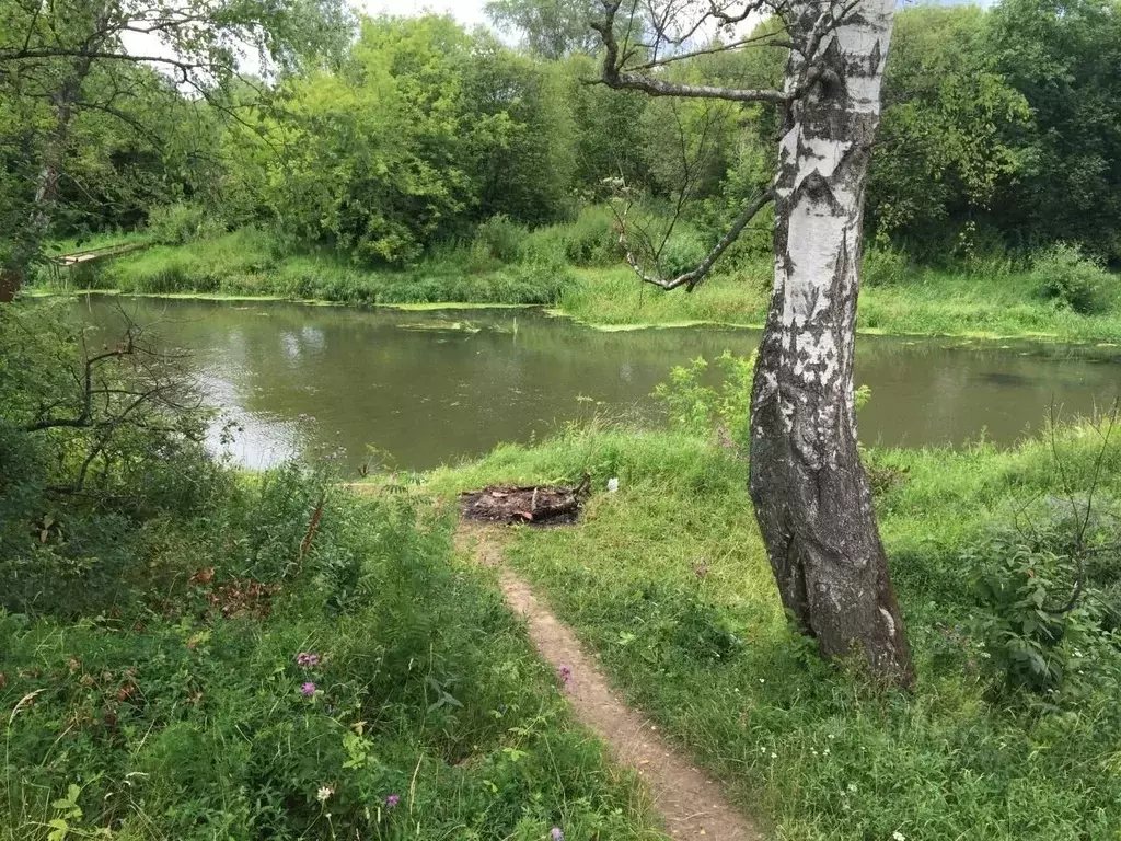 Участок в Владимирская область, Киржачский район, Кипревское ... - Фото 0