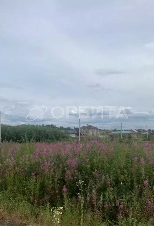 Участок в Тюменская область, Тюменский район, с. Перевалово, Зубарево ... - Фото 1