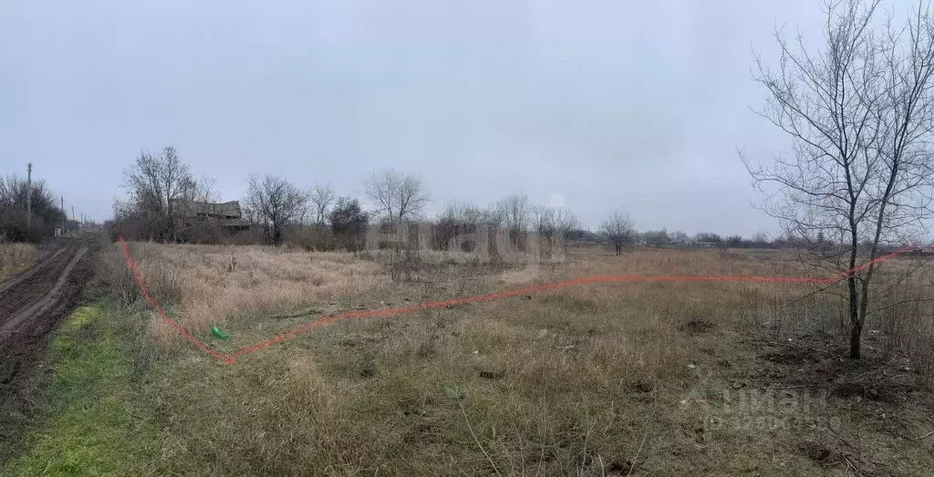 Участок в Ростовская область, Багаевский район, Манычское с/пос, ... - Фото 1