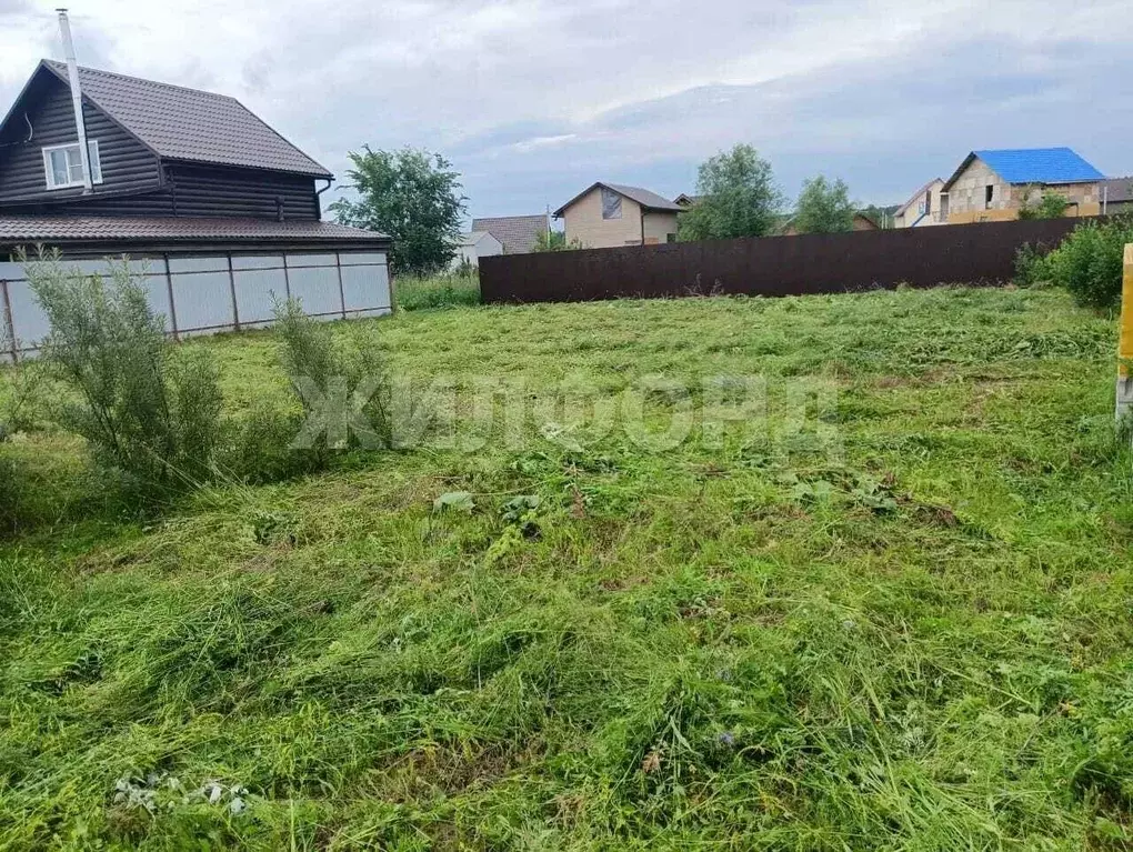 Участок в Новосибирская область, Новосибирский район, Кубовинский ... - Фото 1