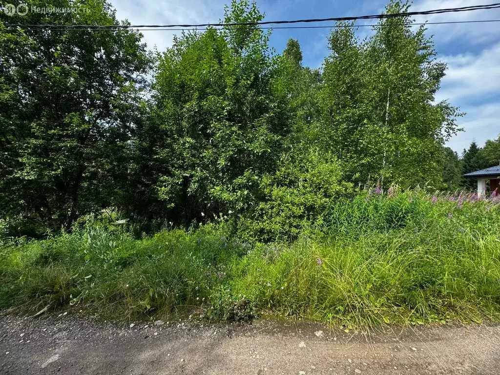 Участок в Московская область, городской округ Солнечногорск, ... - Фото 1